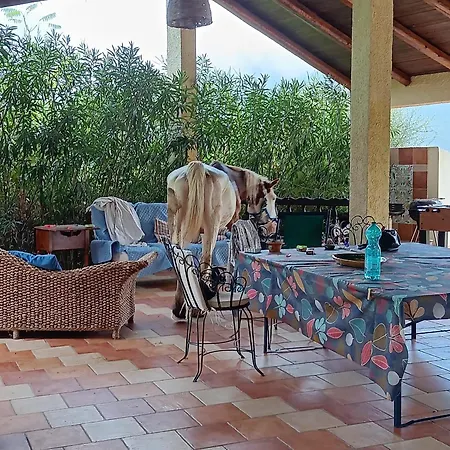 Holiday home E Piscina Anche Esclusiva Parco Del Cilento