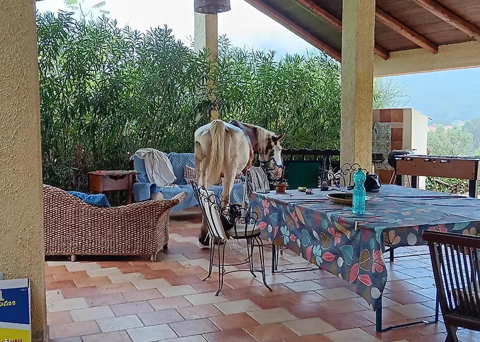 Hébergement de vacances E Piscina Anche Esclusiva Parco Del Cilento